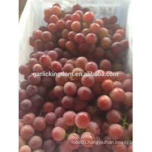sell red grapes